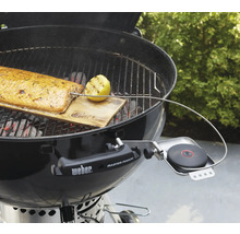 Barbecue met zalm op houten plank, citroen en thermometer