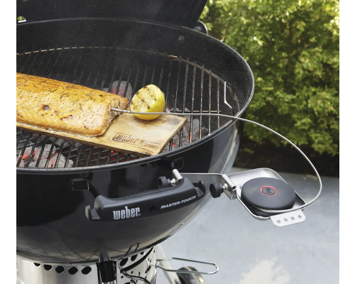 Barbecue met zalm op houten plank, citroen en thermometer