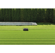 Robotmaaier op een verzorgd gazon naast een zwembad en een heg