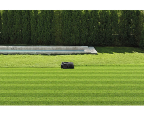 Robotmaaier op een verzorgd gazon naast een zwembad en een heg