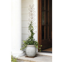 Decoratieve bloempot met klimrek op een veranda naast een deur.