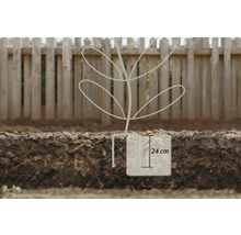 Een bovenaanzicht van een illustratie van een decoratieve boom die in de aarde is verankerd, met vermelding van de afmetingen.