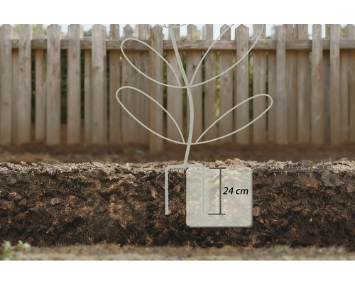 Een bovenaanzicht van een illustratie van een decoratieve boom die in de aarde is verankerd, met vermelding van de afmetingen.