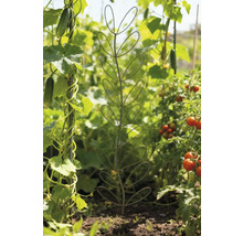 Tuinoverzicht met plantensteun in de vorm van een blad.