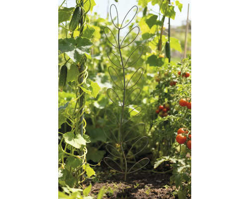 Tuinoverzicht met plantensteun in de vorm van een blad.