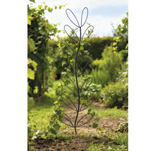 Planthulp in bladstructuur met klimplant in de tuin
