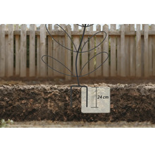 Plantensteun met een insteekdiepte van 24 centimeter in de grond voor een houten schutting.