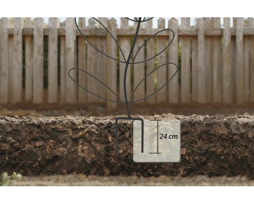 Plantensteun met een insteekdiepte van 24 centimeter in de grond voor een houten schutting.
