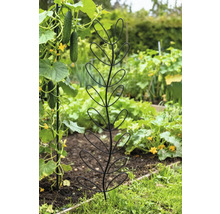 Groentetuin met klimrek voor planten