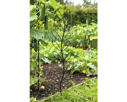 Groentetuin met klimrek voor planten
