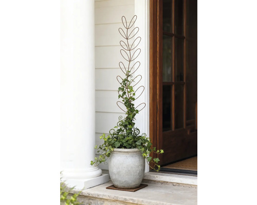 Decoratieve plant met plantensteun in pot voor de huisentree