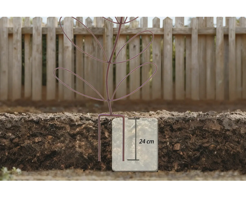 Illustratie van een 24 cm diepe beplanting in aarde voor een houten schutting.