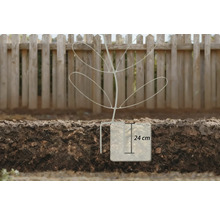 Illustratie van een plantenbeschermer met een hoogte van 24 centimeter in de grond voor een houten schutting