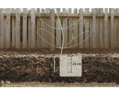 Illustratie van een plantenbeschermer met een hoogte van 24 centimeter in de grond voor een houten schutting