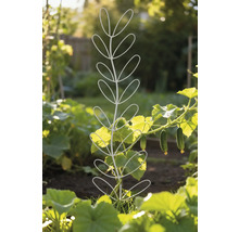 Plantensteun in de tuin met komkommerplant
