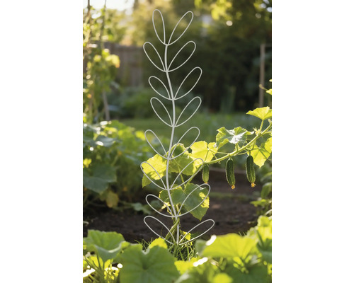 Plantensteun in de tuin met komkommerplant