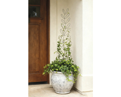 Decoratieve plant met klimrek in een pot naast een voordeur.