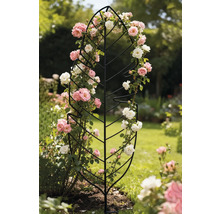 Bladvormige klimhulp met rozen in de tuin