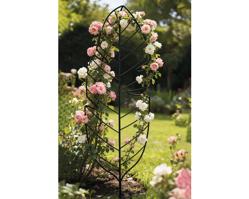 Bladvormige klimhulp met rozen in de tuin
