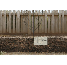 Plantgat met een diepte van 23,5 centimeter in de tuingrond