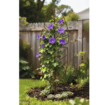 Metalen plantensteun met bloeiende planten in de tuin
