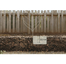 Een plantsteun staat in de tuingrond, de plantdiepte is 23,5 centimeter.