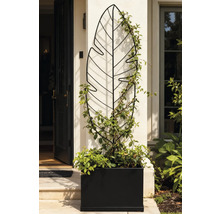 Decoratieve plantenbak met bladklimrek voor een huis