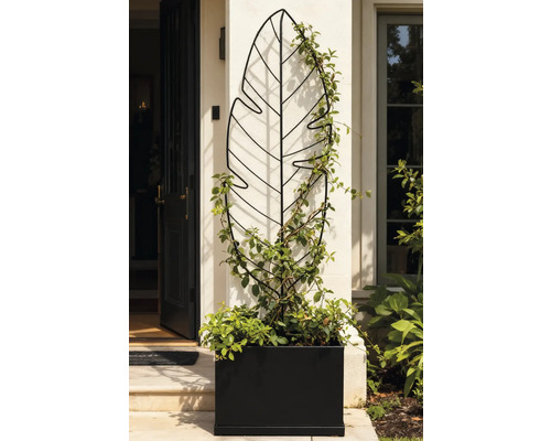 Decoratieve plantenbak met bladklimrek voor een huis