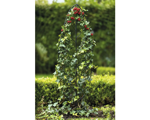Metalen klimhulp met klimop en rode bessen in de tuin
