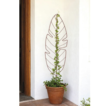 Decoratief klimrek in bladvorm met klimop in pot