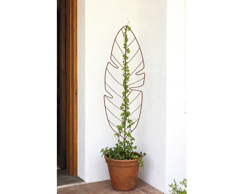 Decoratief klimrek in bladvorm met klimop in pot