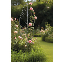 Bladvormige metalen klimhulp met rozen beplant in de tuin