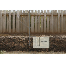 Afbeelding van een klimhulp in de grond met een diepte van 26.5 cm.