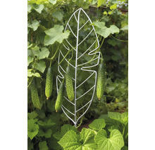 Komkommerplanten die groeien op een plantensteun in de vorm van een blad