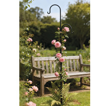 Decoratieve klimhulp met rozen in de tuin