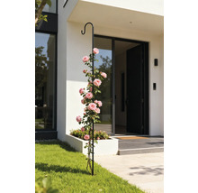 Decoratieve klimhulp met rozen voor een huisentree