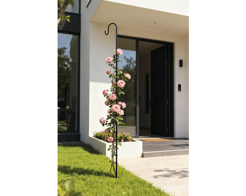 Decoratieve klimhulp met rozen voor een huisentree