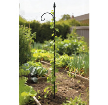 Klimhulp voor planten in een tuinperk.