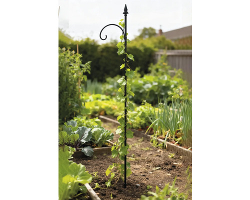 Klimhulp voor planten in een tuinperk.