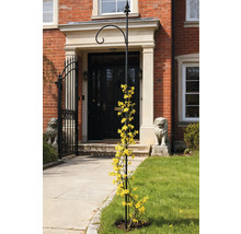 Bloemen klimrek met gele bloemen voor een huis