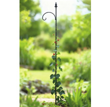 Metalen klimhulp met plant in de tuin