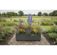 Rechthoekige plantenbak met diverse bloemen en grassen in de tuin