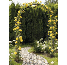 Zwarte rozenboog met gele rozen in een tuin boven een stenen pad