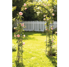 Rozenboog in tuin met rozen