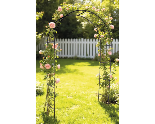 Rozenboog in tuin met rozen