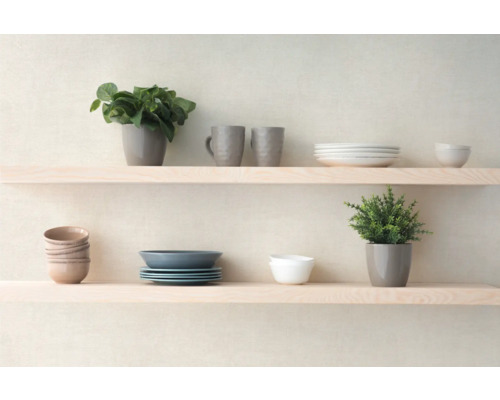 Planken met servies en planten