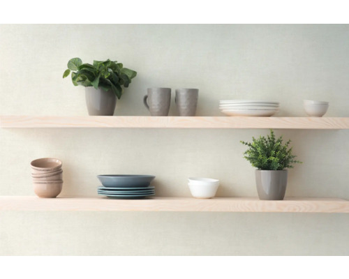 Twee planken gedecoreerd met servies en kamerplanten