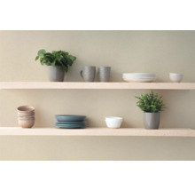Twee lichte houten planken aan de muur met servies en planten