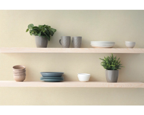 Decoratieve plank met servies en planten