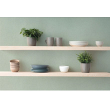 Wandplank met servies en kamerplanten